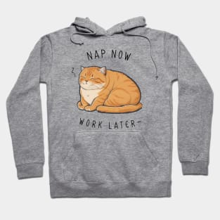 NAP NOW SLEEP LATER CAT Hoodie